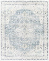 Surya Erin ERN-2320 Cream Light Gray 2'7" x 7'7" Rug