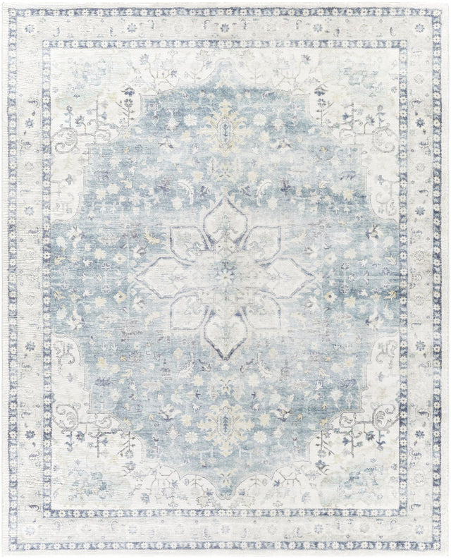 Surya Erin ERN-2320 Cream Light Gray 2'7" x 7'7" Rug