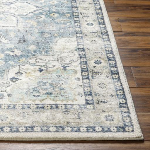 Surya Erin ERN-2320 Cream Light Gray 2'7" x 7'7" Rug