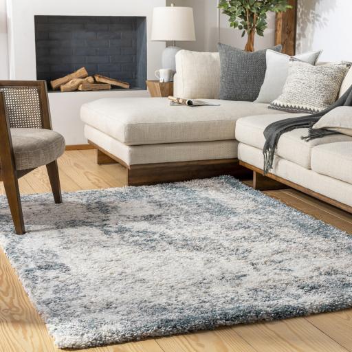 Surya Eskimo Shag ESG-2312 6'7" x 9' Rug