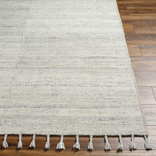 Surya Esther EHR-2301 Beige Ice Blue 2' x 3' Rug