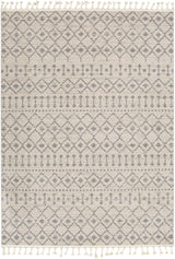 Surya Euphoria ERP-2321 2' x 3' Rug