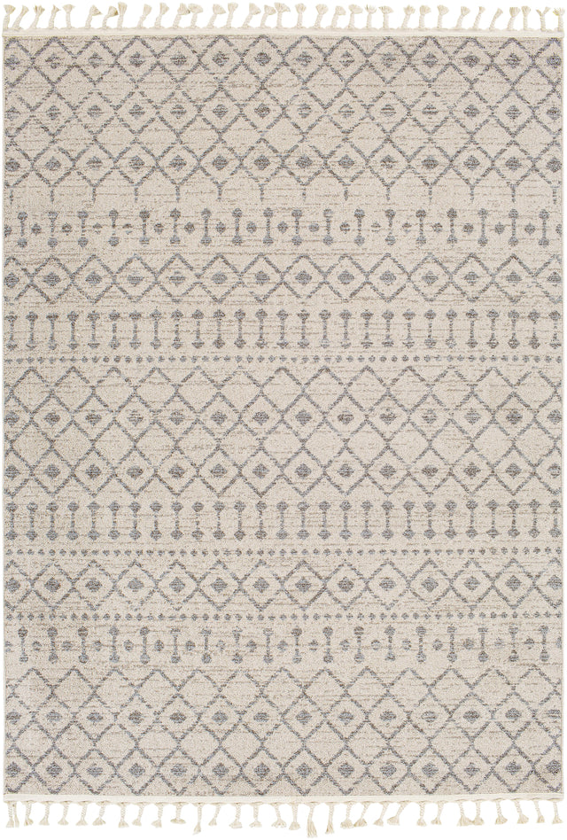 Surya Euphoria ERP-2321 2' x 3' Rug
