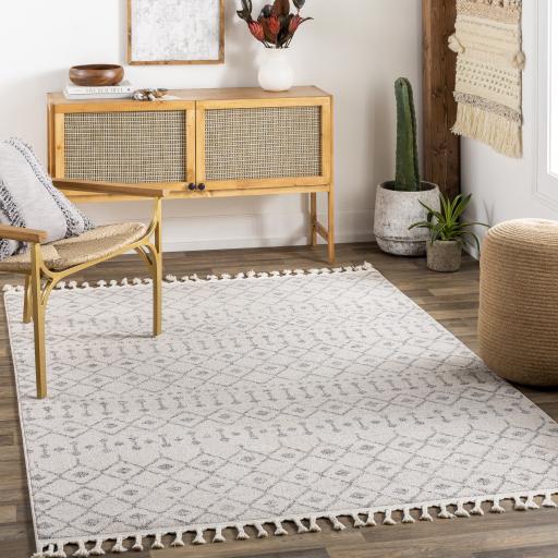 Surya Euphoria ERP-2321 2' x 3' Rug