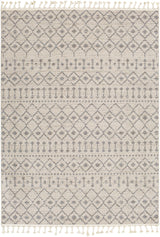 Surya Euphoria ERP-2321 2' x 3' Rug