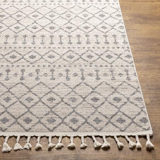Surya Euphoria ERP-2321 Cream Gray 2' x 3' Rug
