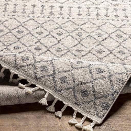 Surya Euphoria ERP-2321 2' x 3' Rug