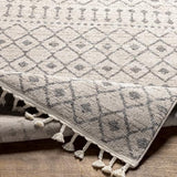 Surya Euphoria ERP-2321 2' x 3' Rug