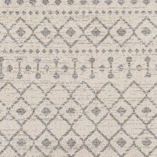 Surya Euphoria ERP-2321 2' x 3' Rug