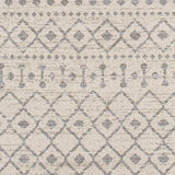 Surya Euphoria ERP-2321 2' x 3' Rug