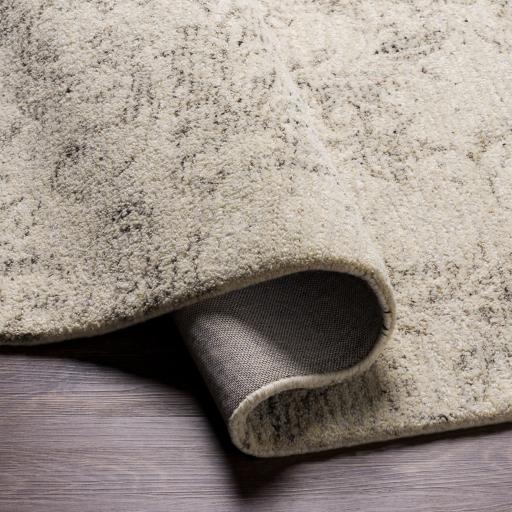 Surya Evolution EVL-2301 2' x 3' Rug