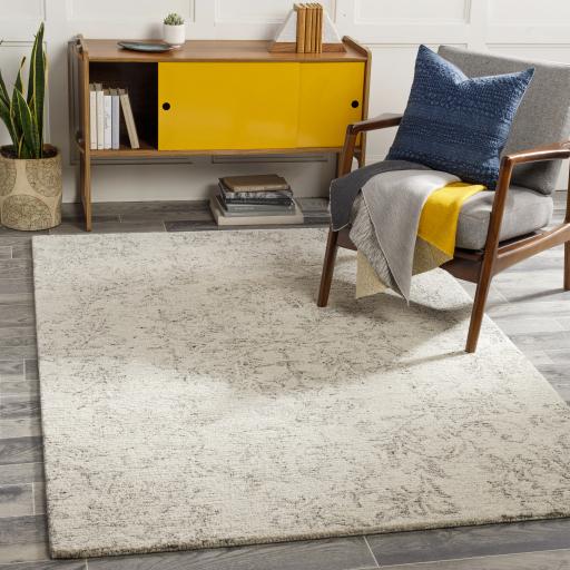 Surya Evolution EVL-2301 6' x 9' Rug
