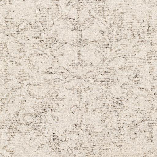 Surya Evolution EVL-2301 8' x 10' Rug