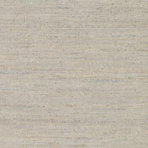 Surya Evora EVO-2303 Beige Oatmeal 8' x 10' Rug