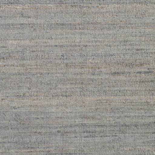 Surya Evora EVO-2304 Charcoal Gray 2' x 3' Rug