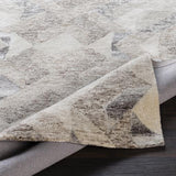 Surya Falcon FLC-8002 2' x 3' Rug