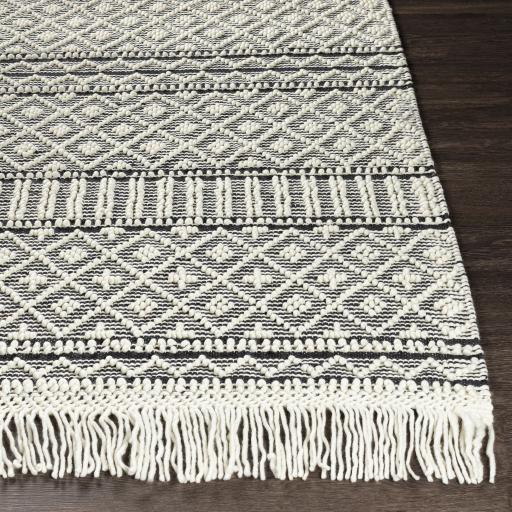 Surya Farmhouse Tassels FTS-2300 3' x 5' Rug