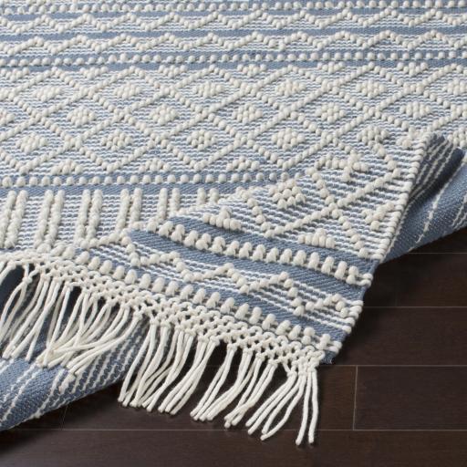 Surya Farmhouse Tassels FTS-2301 2'6" x 8' Rug
