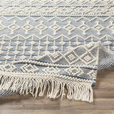 Surya Farmhouse Tassels FTS-2304 2' x 3' Rug