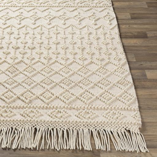 Surya Farmhouse Tassels FTS-2305 Beige White 2'6" x 8' Rug