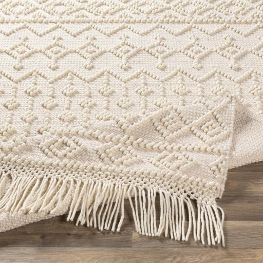 Surya Farmhouse Tassels FTS-2305 2'6" x 8' Rug