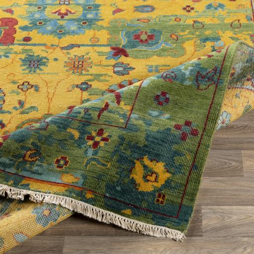 Surya Festival FVL-1005 Burnt Orange Grass Green 2' x 3' Rug