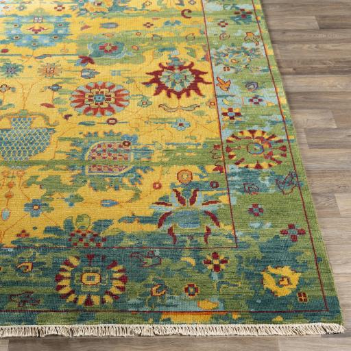 Surya Festival FVL-1005 6' x 9' Rug