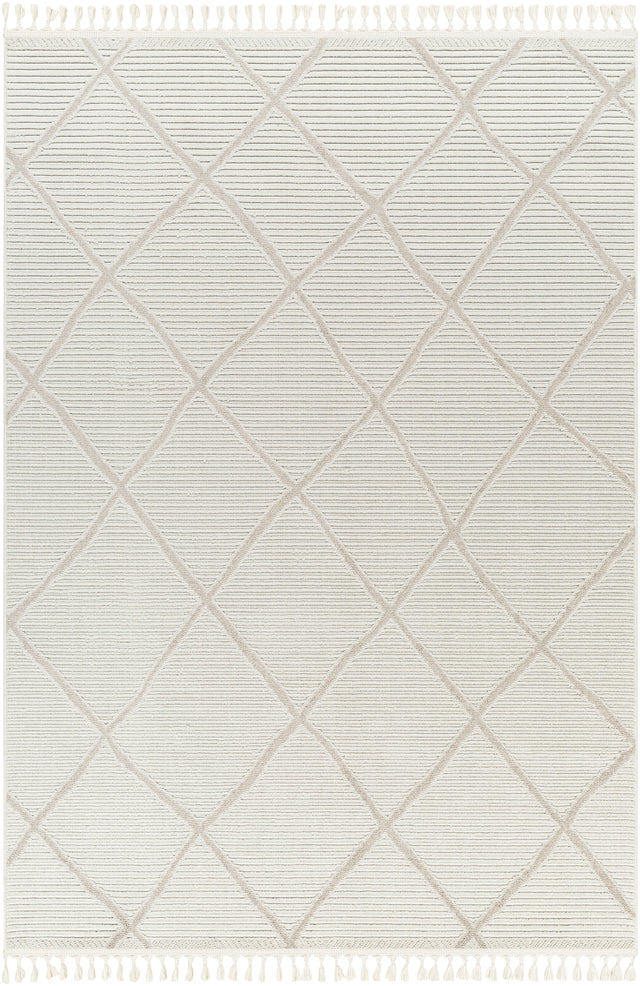 Surya Finland FND-2309 6'7" x 9' Rug
