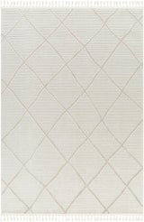 Surya Finland FND-2309 6'7" x 9' Rug