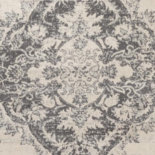 Surya Floransa FSA-2338 8'11" x 12'4" Rug