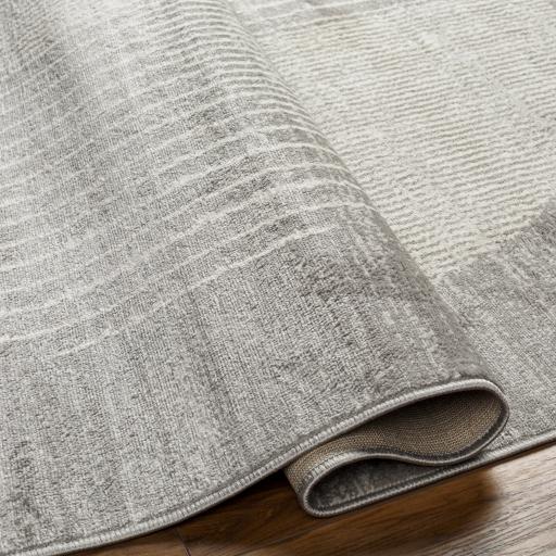 Surya Floransa FSA-2375 2'7" x 7'3" Rug