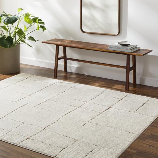 Surya Freud FEU-2310 2'7" x 7'3" Rug