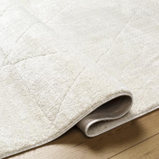 Surya Freud FEU-2324 6'7" x 9' Rug
