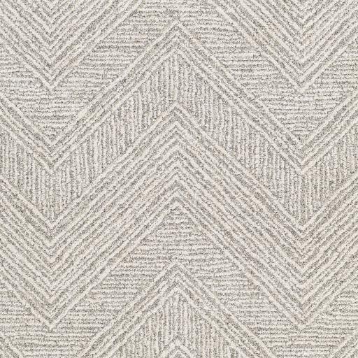 Surya Gavic GVC-2300 5'3" x 7'3" Rug