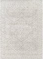 Surya Gavic GVC-2301 2' x 2'11" Rug