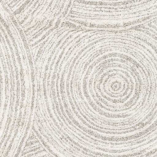 Surya Gavic GVC-2305 8'10" x 12' Rug