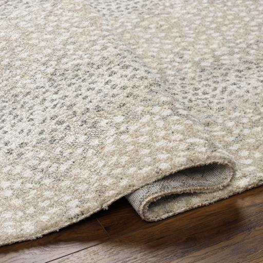 Surya Gavic GVC-2313 4'3" x 5'11" Rug