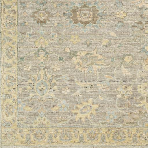 Surya Ghazni GHZ-2301 2' x 3' Rug