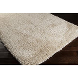 Surya Goddess GDS-7503 Light Beige 2' x 3' Rug
