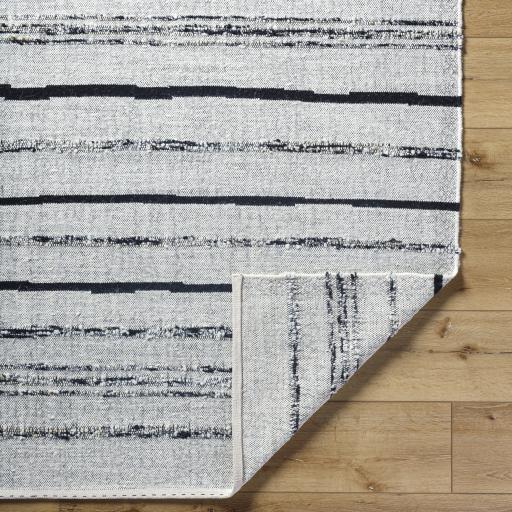 Surya Goteborg GTG-2302 2' x 3' Rug