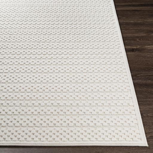 Surya Greenwich GWC-2301 Charcoal Light Beige 5'3" x 7'3" Rug