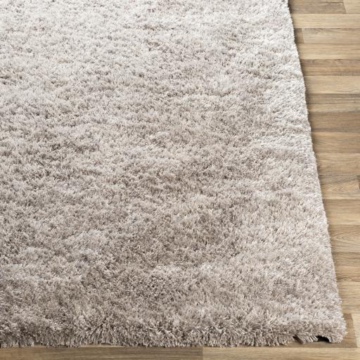 Surya Grizzly GRIZZLY-10 5' x 8' Rug