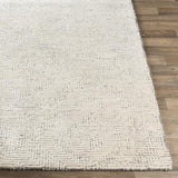 Surya Halcyon HCY-2300 Charcoal Cream 2' x 3' Rug
