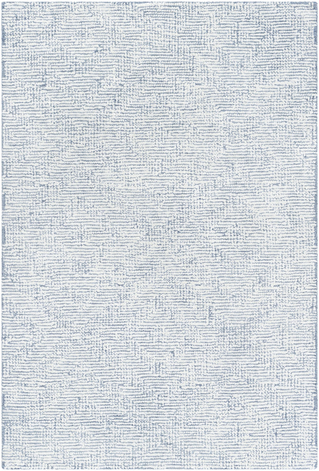 Surya Halcyon HCY-2302 2' x 3' Rug