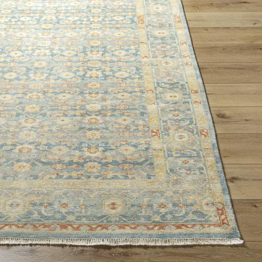 Surya Hamadan HAM-2302 2' x 3' Rug