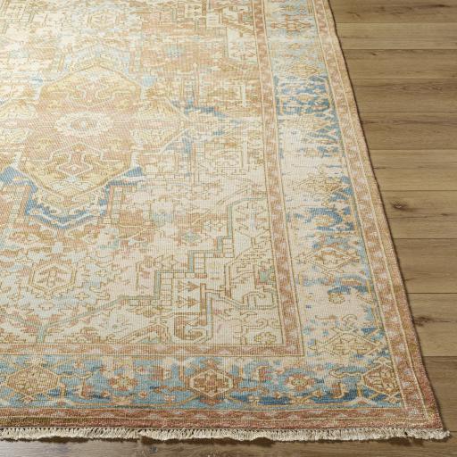Surya Hamadan HAM-2303 2' x 3' Rug