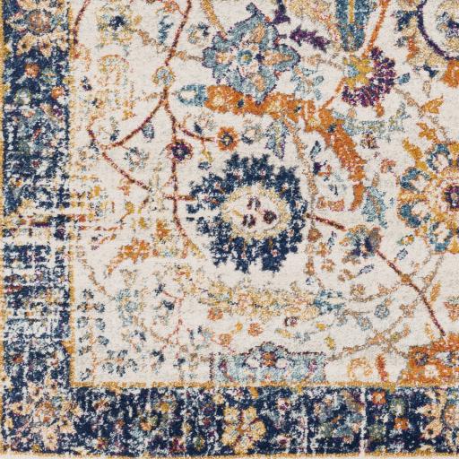 Surya Harput HAP-1014 Burgundy Burnt Orange 8'10" x 12'6" Rug