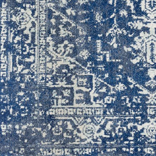 Surya Harput HAP-1022 8'10" x 12'6" Rug