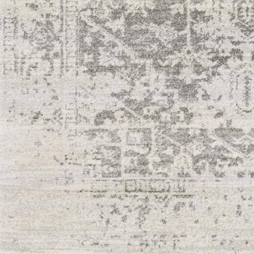 Surya Harput HAP-1024 2'7" x 7'3" Rug