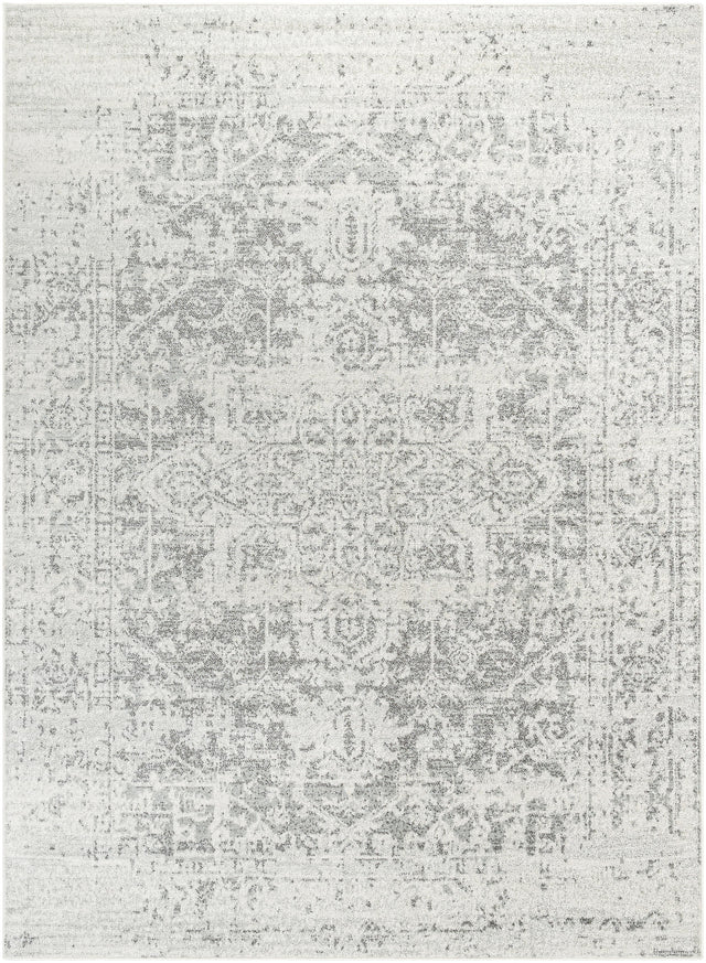 Surya Harput HAP-1024 3'11" x 5'7" Rug
